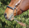 Hackamore, 8" long shank. 101