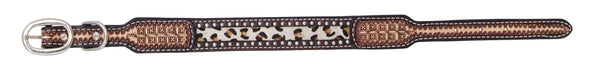 Dog Collar, Medium