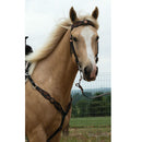 Headstall, Sunflower